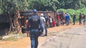 Acidente com carreta carregada de gado termina com danos materiais em Parnaguá – PI